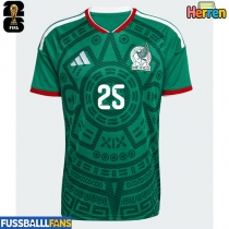 Mexiko Roberto Alvarado #25 Heimtrikot EM 2024 Kurzarm